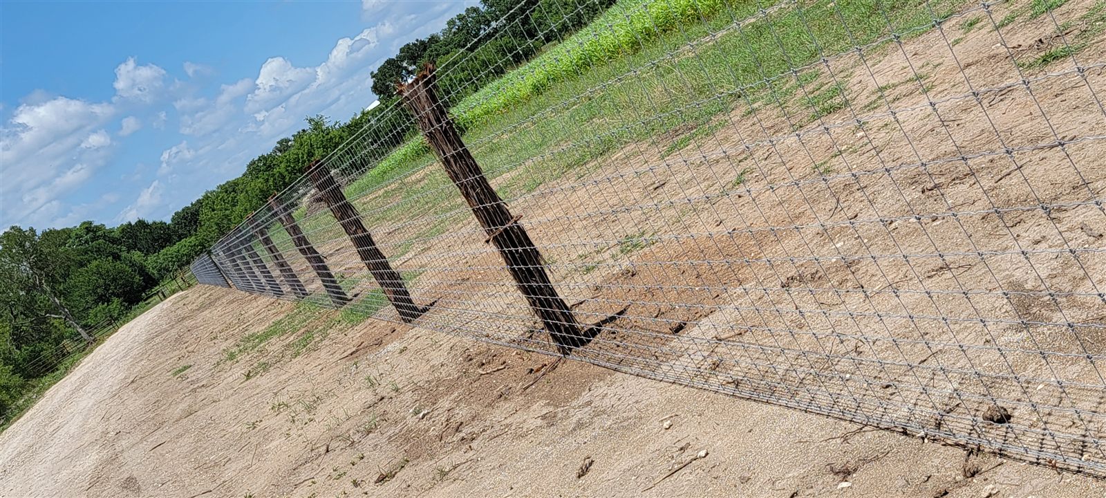 Net wire fence with cedar posts