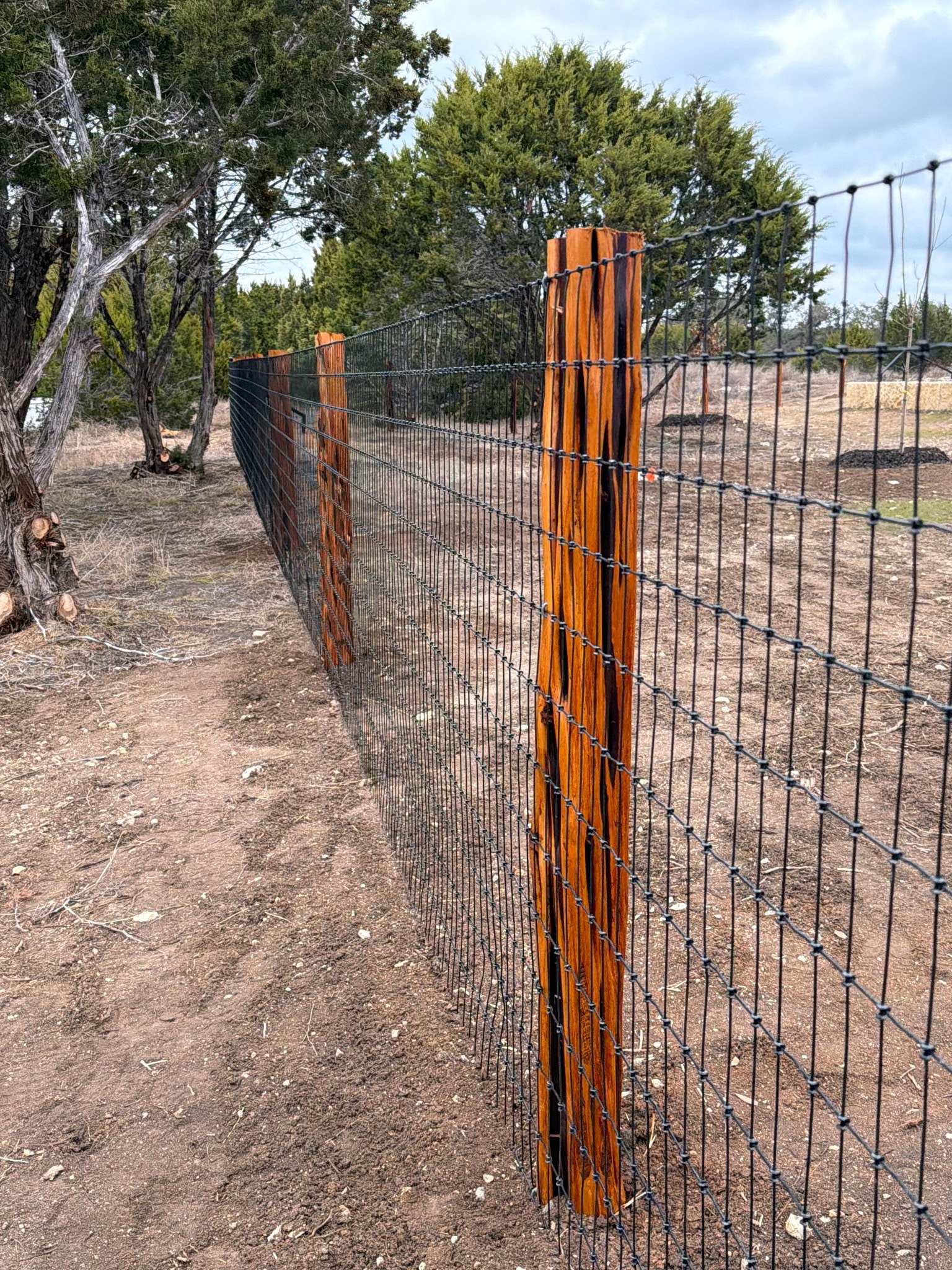 Vaqueros Fencing project